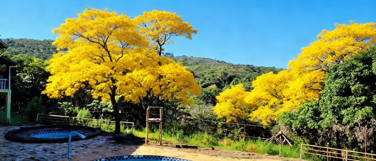 Foto 8 — Belo Horizonte